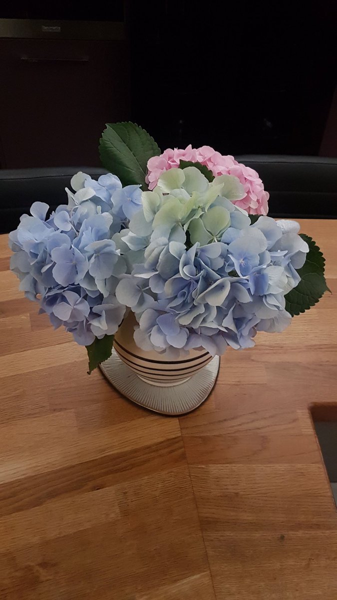 cornwallrugcomp's tweet photo. #cornwall #Flowers @cornwallrugcomp https://t.co/qFlWhpHNBE