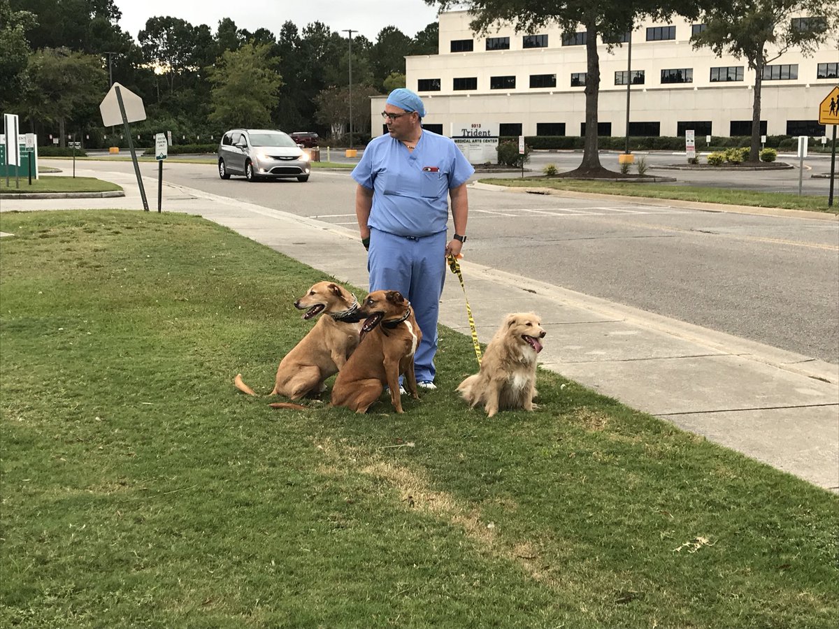 lex_chs's tweet photo. A @TridentHealthPR surgeon and his dogs.

Today he performed emergency heart surgery at Trident Medical Center and brought his dogs because he was uncertain if he’d be able to go home because of #HurricaneFlorence.  #chsnews https://t.co/UHEb1Z1aOL