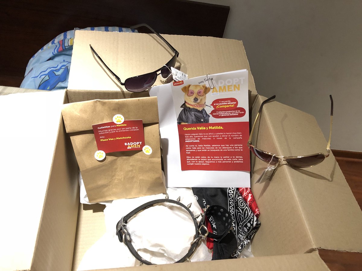 valiabarak's tweet photo. Me encanta esta campaña que promueve la adopción de perritos
#AdoptAmen 
Si quieres uno entra a: https://t.co/Z3tXd8cOY2
¡Gracias @plazavea por los regalos para Matilda!!!!!! Y además de todo, tienes la oportunidad de entrar al sorteo de un Meet &amp; Greet con Amen... https://t.co/T7rUzrouEs