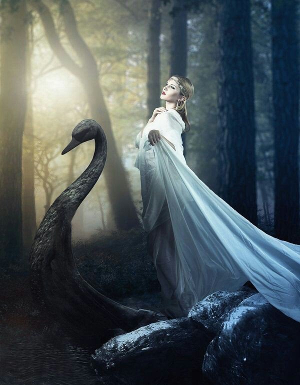 Dans un monde magique
Je vous invite
A accueillir la nuit
Sans aucun souci💙