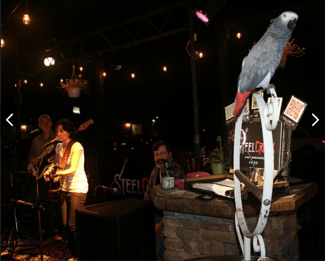 steelcreekband's tweet image. Fun times last night @GCWPA  especially singing along with Woodstock, the African Grey Parrott! If you haven't been to Game Changer World yet, you need to get there! Such a cool place with the BEST live mascot. We'll see you here again on October 11th!
#SteelCreek #catcountry96