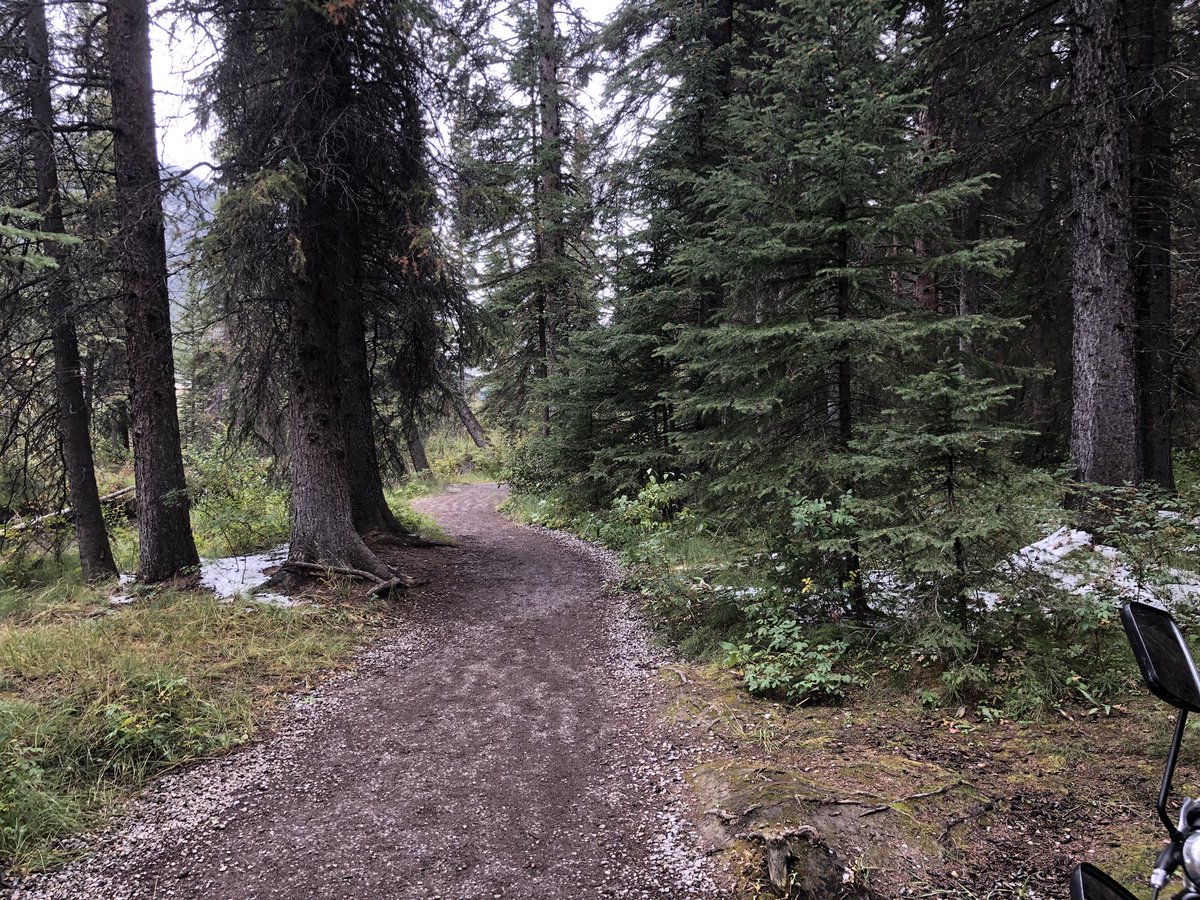 Denise13F's tweet photo. When you rock 13miles\20.92kms biking trails after a run you feel like a #badass even if the last 2 miles kicked the energy right out of you. Biking up tunnel mountain. #SeptemberToRemember
#SeptemberCare https://t.co/GtDJdNNQ3u