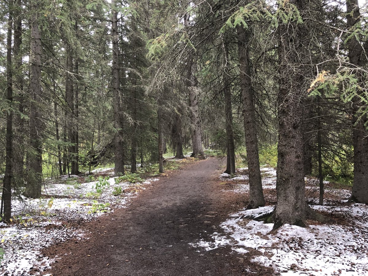 Denise13F's tweet photo. When you rock 13miles\20.92kms biking trails after a run you feel like a #badass even if the last 2 miles kicked the energy right out of you. Biking up tunnel mountain. #SeptemberToRemember
#SeptemberCare https://t.co/GtDJdNNQ3u