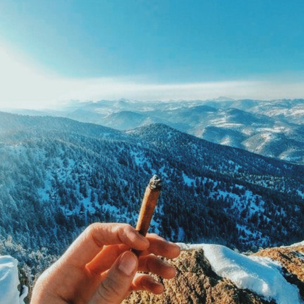 TheWeedWorldOG's tweet photo. Smoking weed does not ruin your life, that’s all on you. If you can’t manage smoking weed and having a successful life, that’s your problem. 🙌 https://t.co/gkYauwrapC
