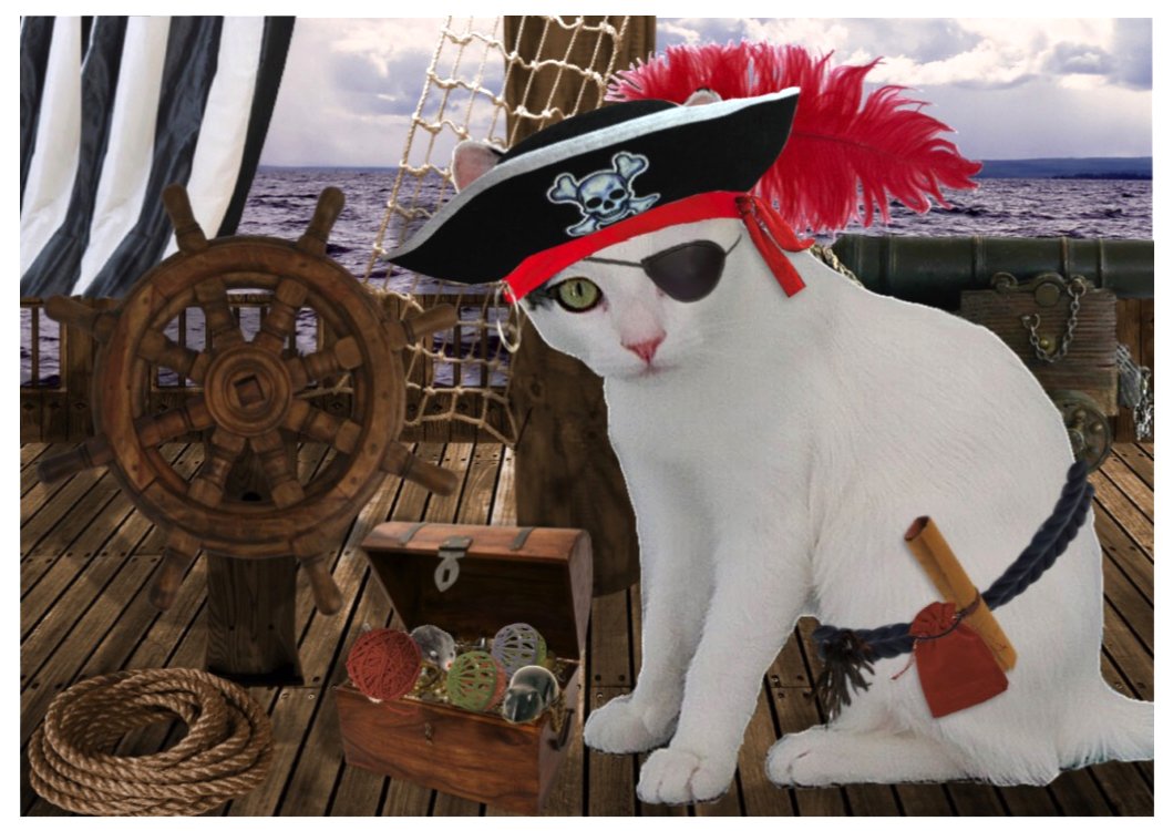 TheAccidentlCat's tweet photo. #HugYourBossDay #HugYourBoss #BossLady #bossy Celebrate Hug Your Boss Day with the Yo Ho! handmade card/print by TheAccidentalCat on Etsy. https://t.co/RfYnBGfSNf