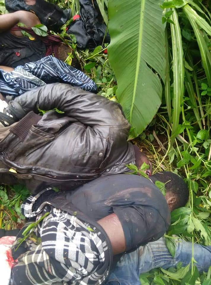 JosephAwali's tweet photo. 14/9/2018 killx southern Cameroon
happened today in Banja bamenda . The police took them from mile 90.came and killed them there at Banja https://t.co/Jur5pLsnNC