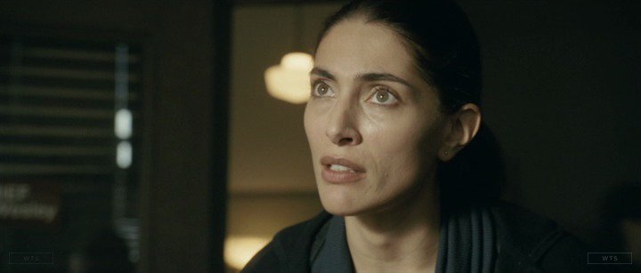 Caterina Murino is now 41 years old, happy birthday! Do you know this movie? 5 min to answer! 