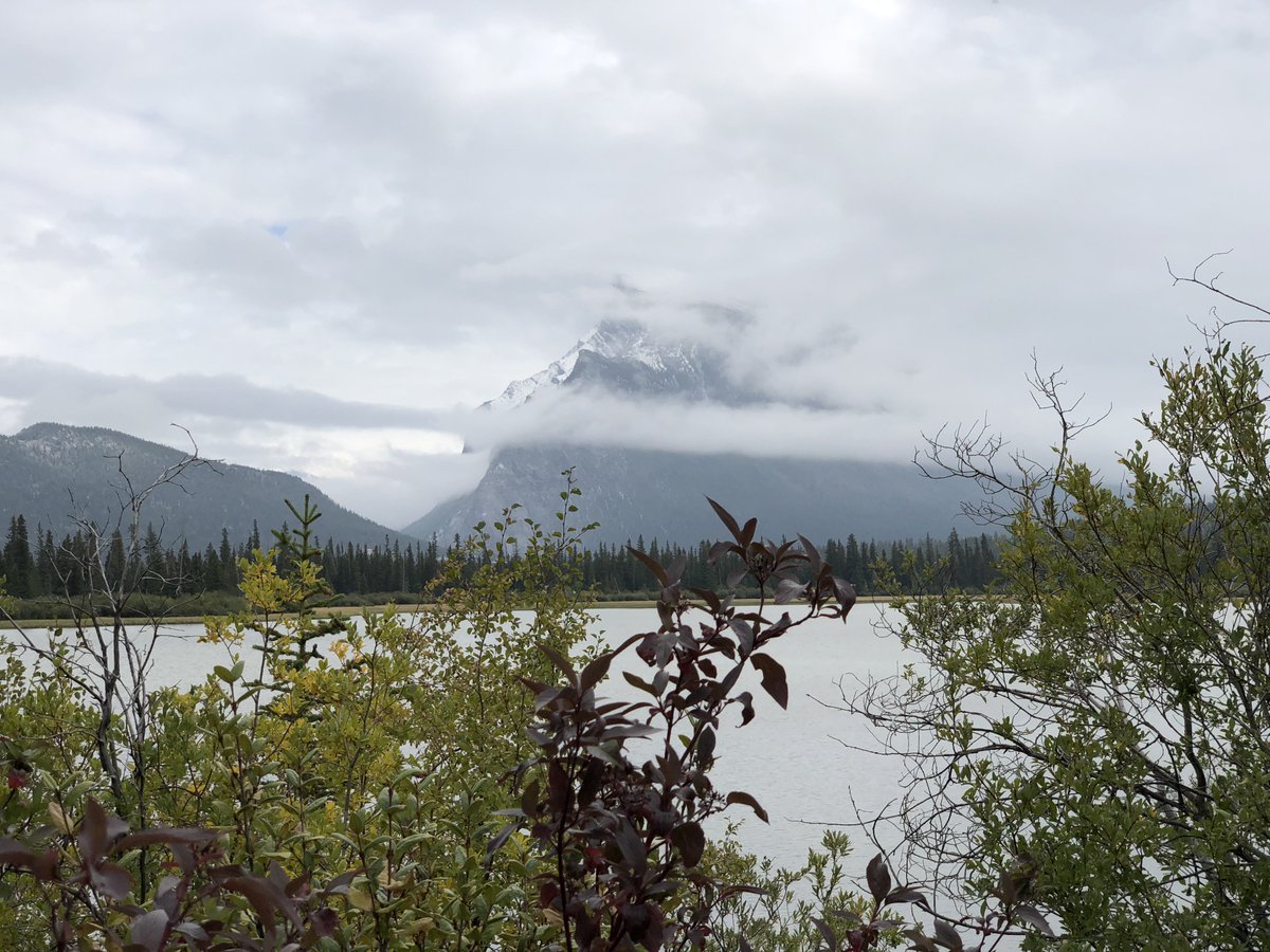 Denise13F's tweet photo. Enjoyed coffee @Starbucks @StarbucksCanada #Banff I was so cold when we got there & we still had 2miles of #biking up Tunnel Mountain to our campsite. #NaturesTherapy #OptOutside #Snowing #Raining #SeptemberToRemember #SeptemberCare #Camping #Therapy #PTSDawareness #Mindfulness https://t.co/MoVfuQK1UM
