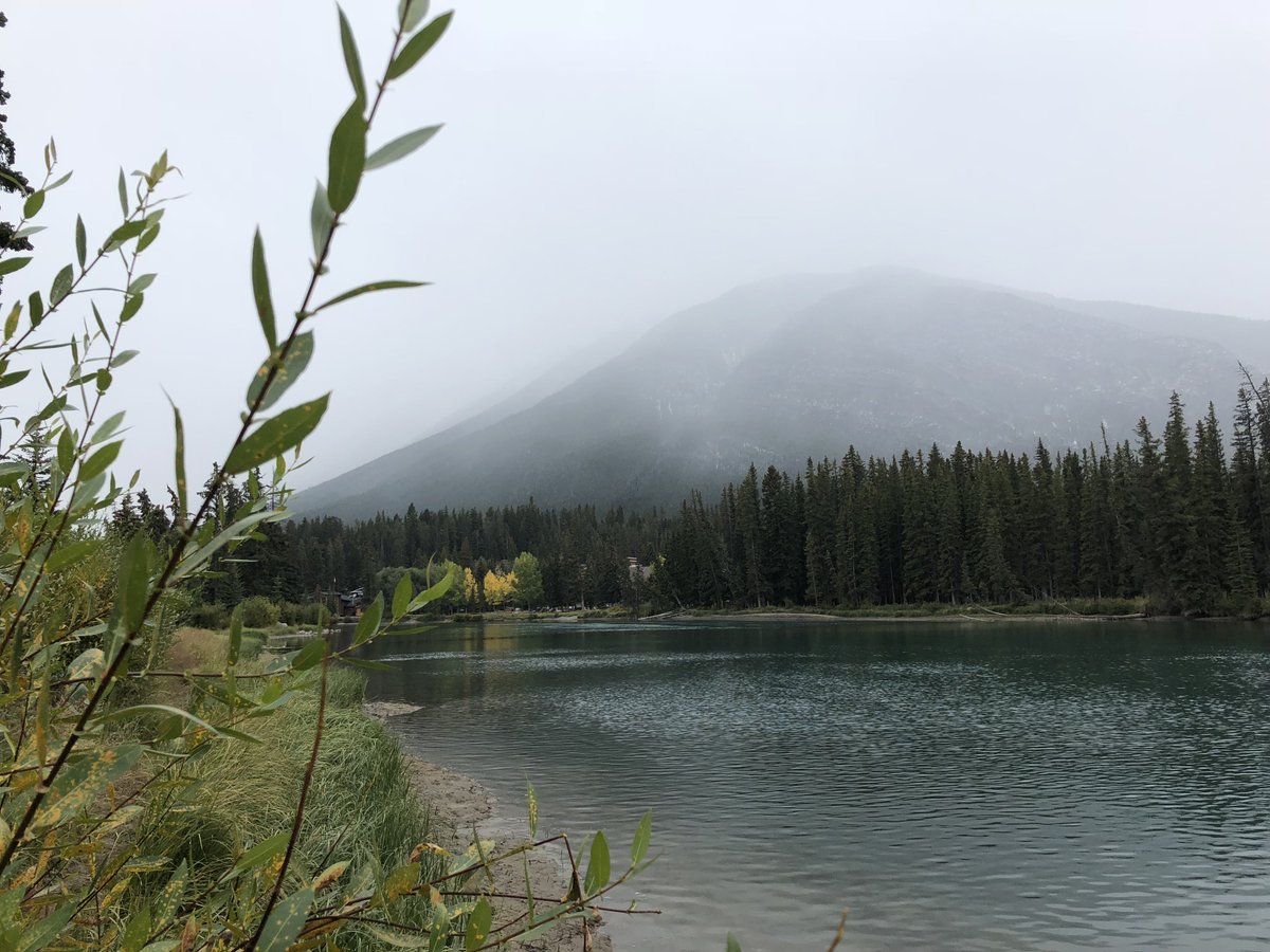 Denise13F's tweet photo. Enjoyed coffee @Starbucks @StarbucksCanada #Banff I was so cold when we got there & we still had 2miles of #biking up Tunnel Mountain to our campsite. #NaturesTherapy #OptOutside #Snowing #Raining #SeptemberToRemember #SeptemberCare #Camping #Therapy #PTSDawareness #Mindfulness https://t.co/MoVfuQK1UM