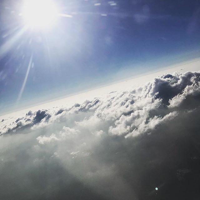 James Isenberg tweet media