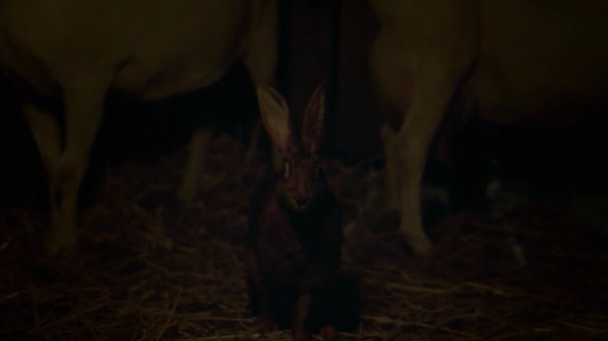 The VVitch