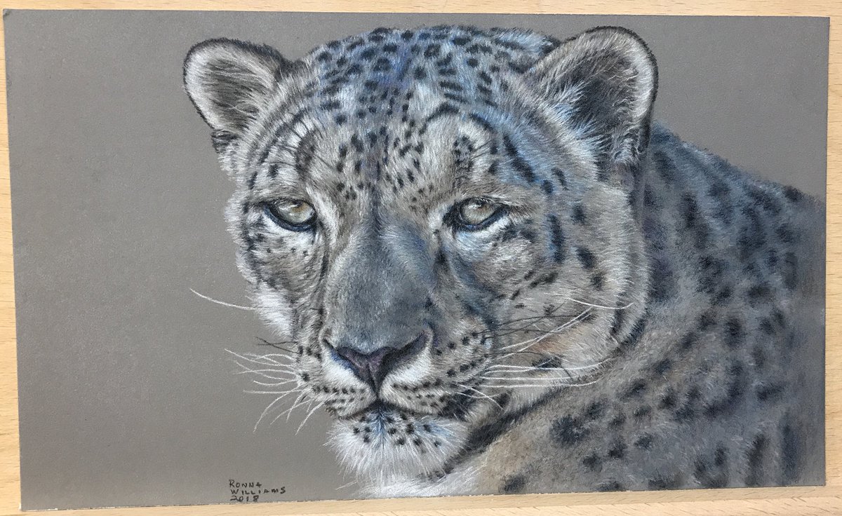 Where I’ve been. #SecondAct #LivingTheDream