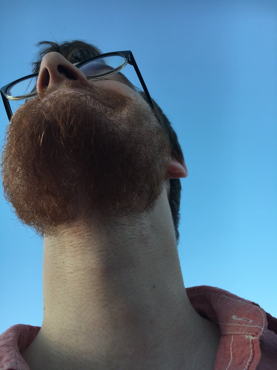 Don’t worry folks beards from below would not abandon you. Here is a preview of what’s coming up. #beardsfrombelow
