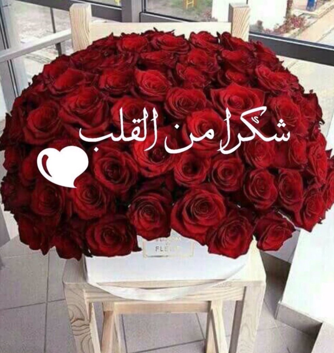 eaacae's tweet image. لا يشغلني من أساء إلي..
فلست أجاريه إنما يشغلني.. 
من أحسن إلي كيف أجازيه..