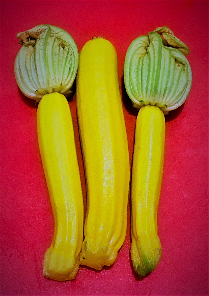 ThomasSeear's tweet photo. Creamy rice, sweet yellow courgette and succulent pork. A lovely  choice for the weekend or weekday. 
https://t.co/F71DjCP1KS https://t.co/4Pst0P4Z2v