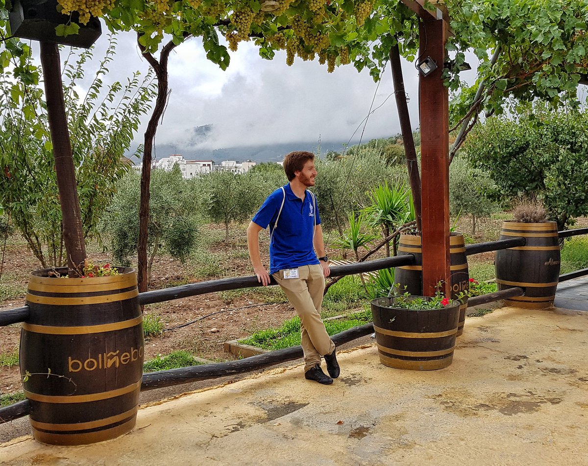 En #Padules también hay uva y vino. Visitamos la bodega Barea Granados. More wine! #AunahoraAlmería <a href="/INDALOMOTOR/">INDALO MOTOR</a> <a href="/RedGuadalinfo/">Vuela Guadalinfo</a> <a href="/Cruzcampo/">Cruzcampo #ConMuchoAcento</a> <a href="/luxeapers/">Luxeapers</a> <a href="/dipalme_almeria/">Diputación Almería</a>  <a href="/AlmeriaJunta/">AlmeríaJunta</a> <a href="/viveandalucia/">Vive Andalucía</a> @Almeria2019 <a href="/Costa_Almeria/">Costa de Almería</a> <a href="/AytoPadules/">Ayto de Padules</a>