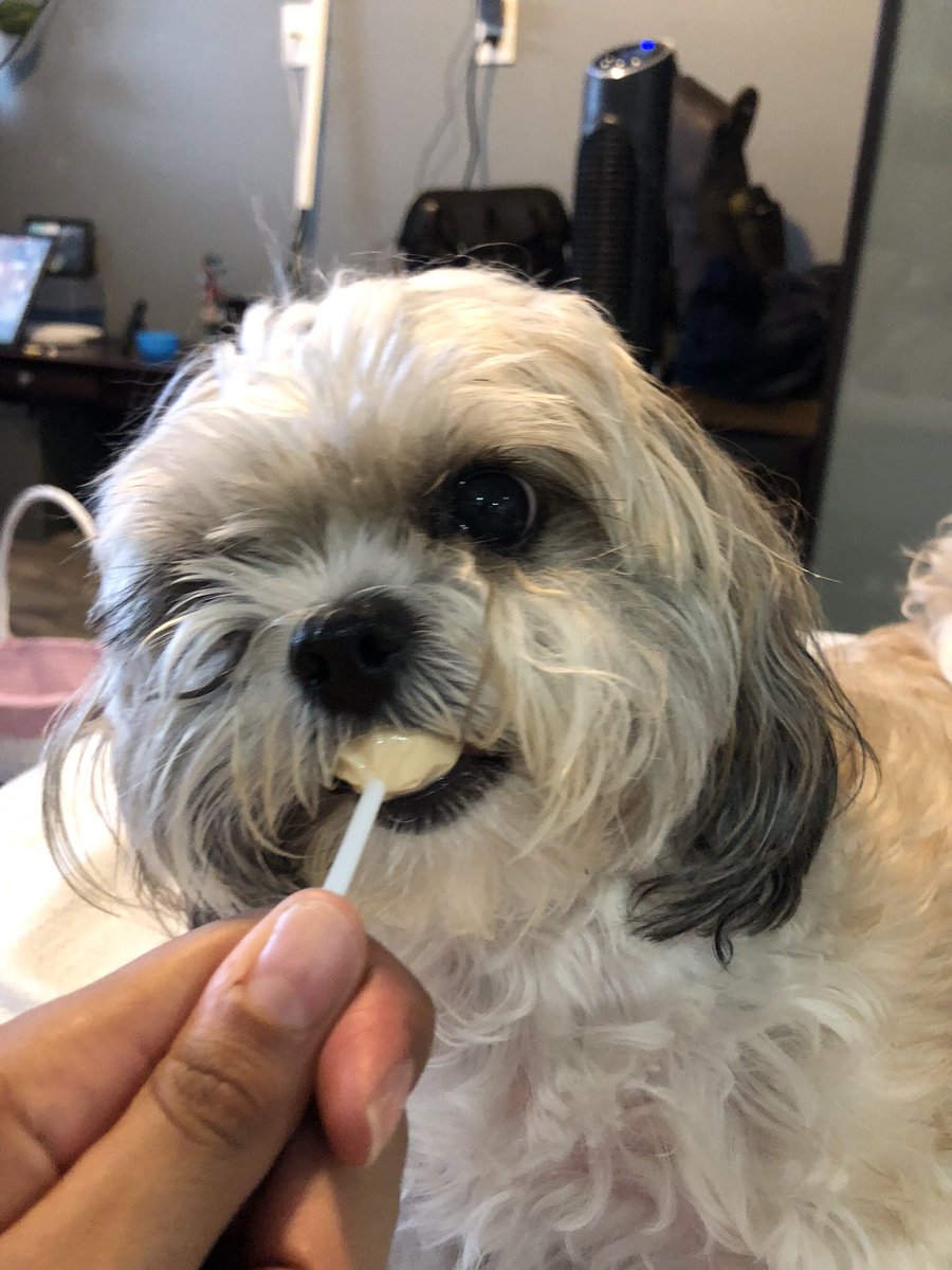vnesa33's tweet photo. @drewmagary Fat bitch always taking my food 😒 https://t.co/s5iT8Hy6FF