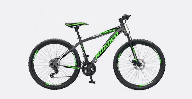 Power Brakes 21Speed Bike Ralson Tyres 