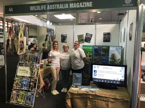 We're at the Eco Expo at RNA Showgrounds until 4pm Sunday. Drop in and say hi! #brisbaneecoexpo