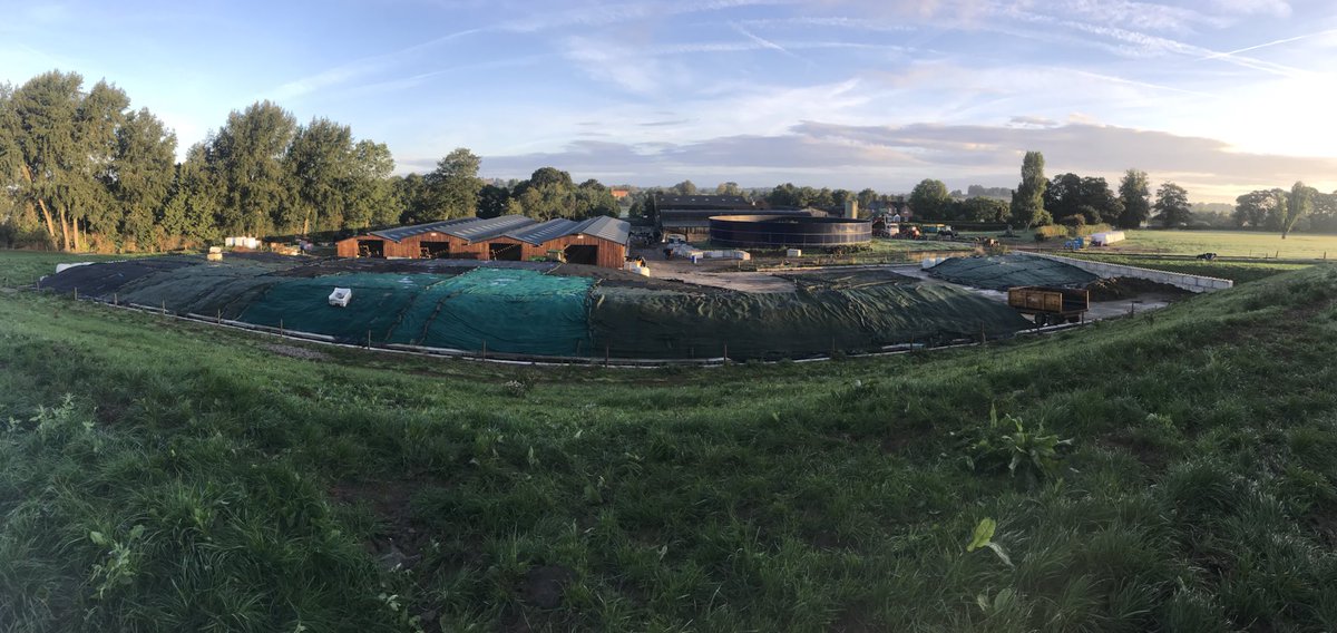 bevans18's tweet photo. Getting ready for self feed with autumn block #forage #selffeed #teamdairy https://t.co/OH5Rpjcujc