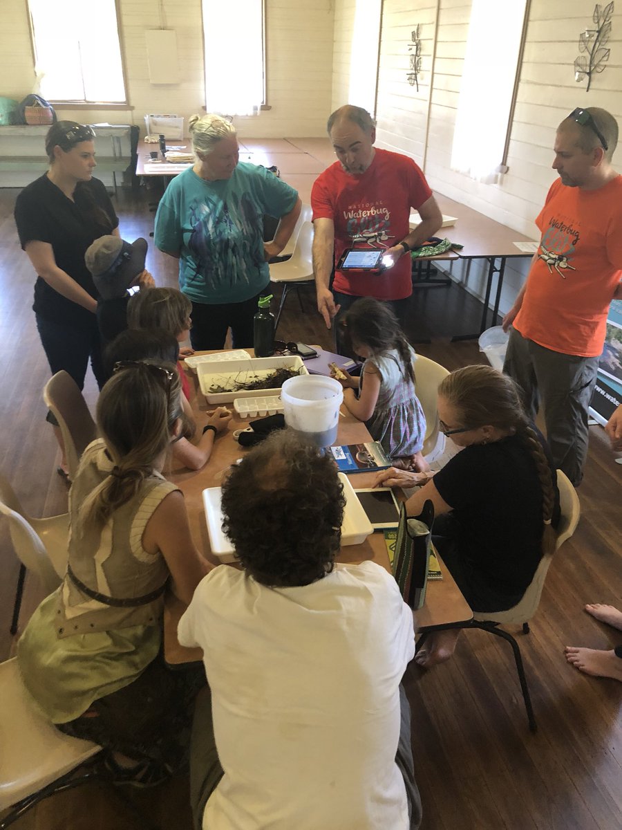 Awesome Introductory Workshop today on the Never Never River with the Bellingen Riverwatch volunteers, thanks to sponsorship from OEH Save Our Species Program. 🙏💙🐢
#waterbugblitz #bellingenriverwatch #oeh #saveourspecies #ozgreen #citizenscience #riverhealth #georgesturtle