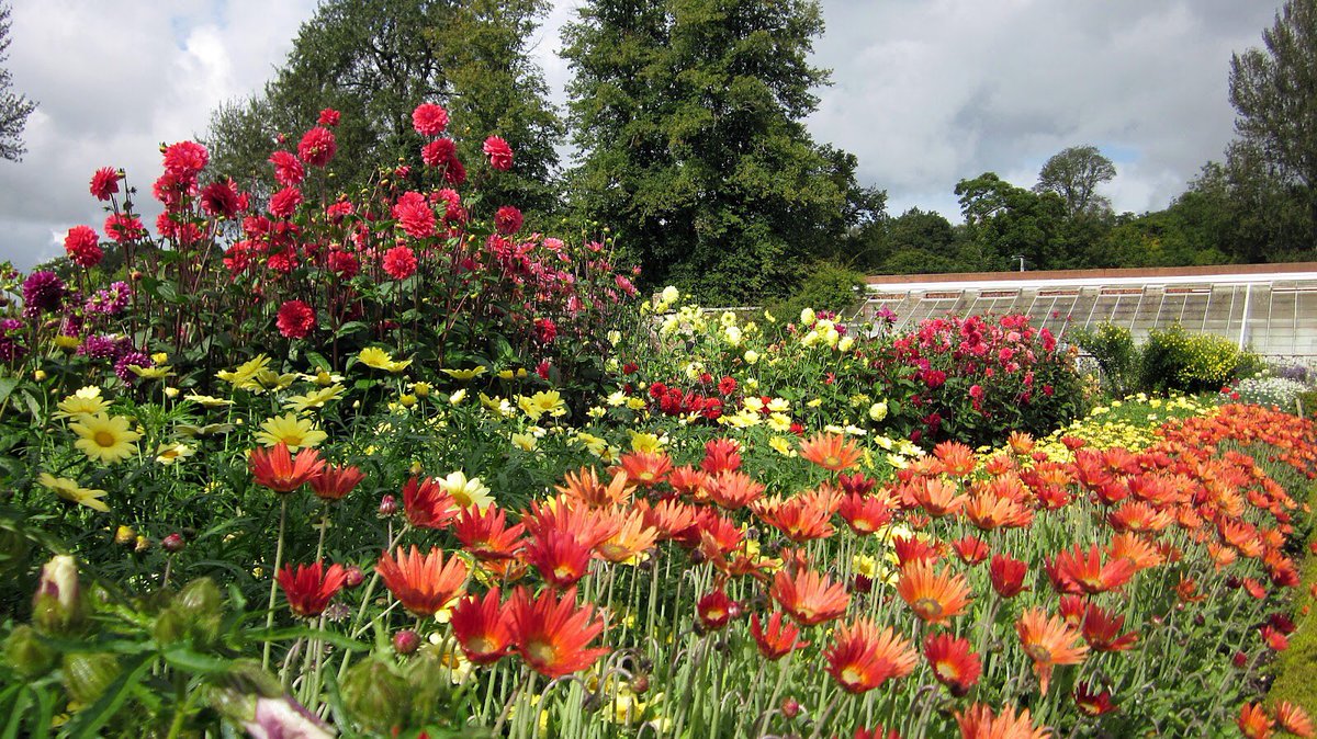 Beautiful morning here <a href="/fordeabbey/">Forde Abbey & Gardens</a> <a href="/tobygardenfest/">Toby's Garden Fest</a>  and many delights await you!  Sun is up and we are (nearly) ready to see you all. So many lovely plants, so much to do and so much to see!!!🌞🌞🌞🌞🌞🌞🌞🌞🌞🌞🌞🌞🌞and did we mention delicious things to eat and drink?