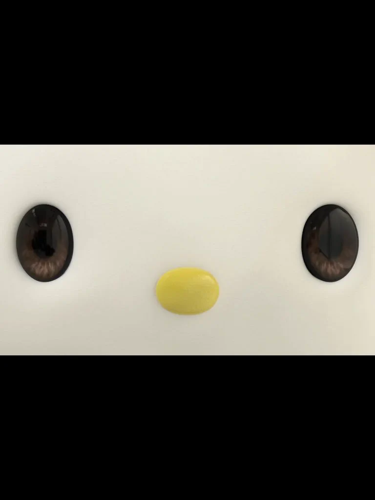 なんか怖い・・・ユーチューバーキティの瞳が怖すぎる・・・！！