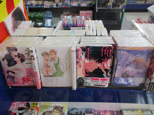 アニメイト高知 アニメイトアプリ配信中 No Twitter 新刊入荷情報 コミック 俺を見て 夏より青く とある書店員の恋物語 ネコ ネコ スポットライトは俺のもの ネオン街の蜘蛛と蝶 ヤクザ教師とハメられ王子 2 納まってねーよ 真夜中の