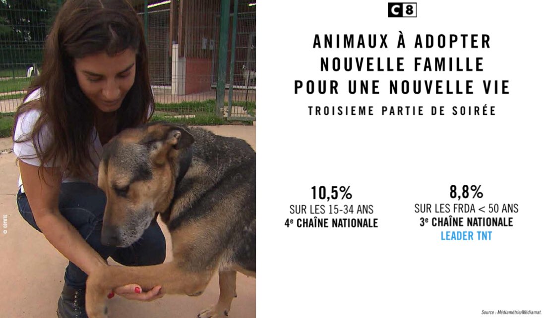 Laetitia Lamic (laetilamic) Twitter