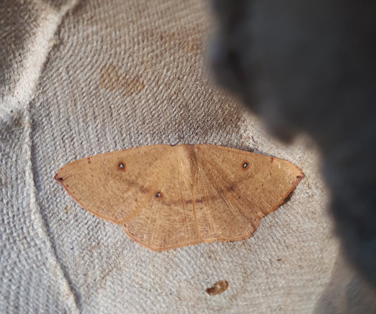 martin o'brien tweet media