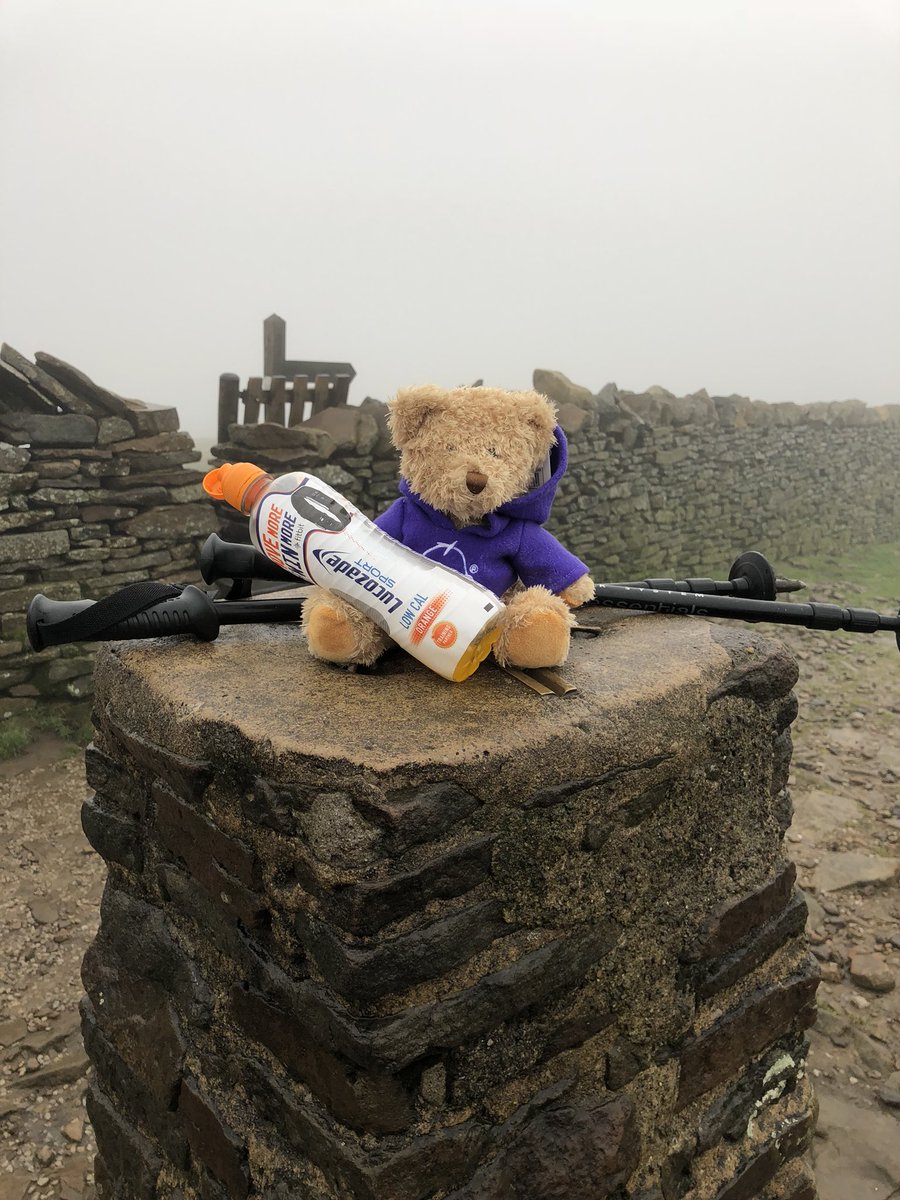 cjbraybrook's tweet image. Our 18th team member did especially well on the #yorkshire3peaks with such little legs #dedicated #teameffort #nooneleftbehind ❤️💜👏👏👏 @GOSHCharity @WeRForceForGood @placemadebyyou @WeAreSUGM @Pete_Cox @SDEBDD