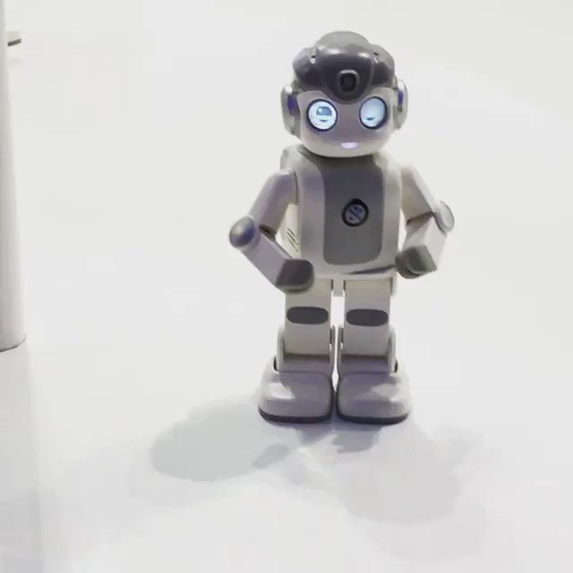 alpha mini robot