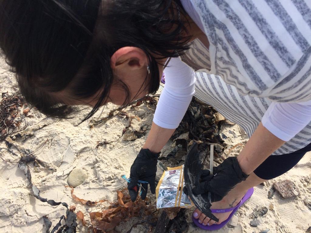2OceansAquarium's tweet photo. Incredible turnout today for #TrashBash. Thank you #CapeTown https://t.co/da3KRwB4gn