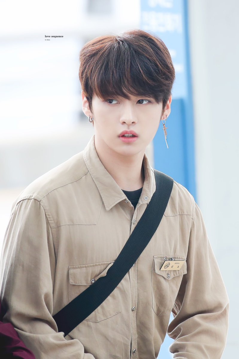 Ли минхо стрей. Минхо из stray. Минхо stray kids 2022. Ли мин хо stray kids. Ли мин хо стерейк кимдс.