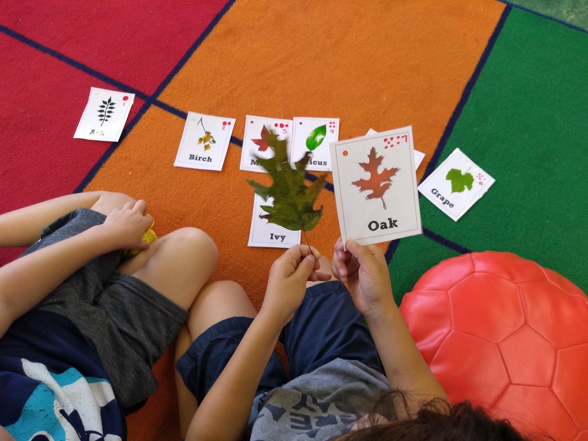 kmaverlitc's tweet photo. Provocation inspired by our interest in the tree by our pick up line. #reggioinspired #Kindergarten #sharingthinking https://t.co/Afrx06yWs8