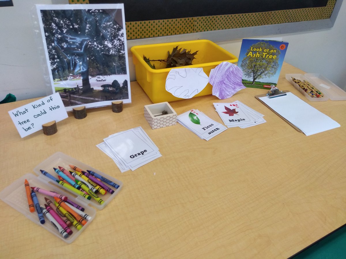 kmaverlitc's tweet photo. Provocation inspired by our interest in the tree by our pick up line. #reggioinspired #Kindergarten #sharingthinking https://t.co/Afrx06yWs8