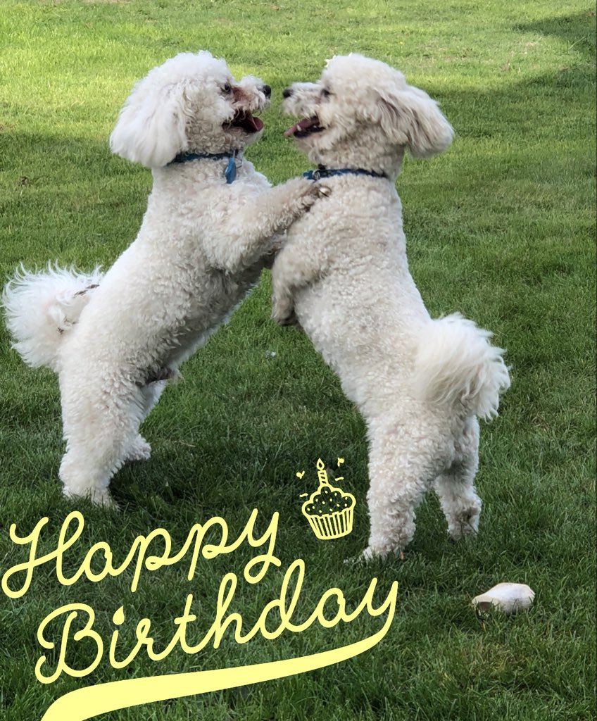 Bill Dale tweet media