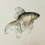 これが飴・・・？完璧すぎる造形の金魚の飴細工!!
