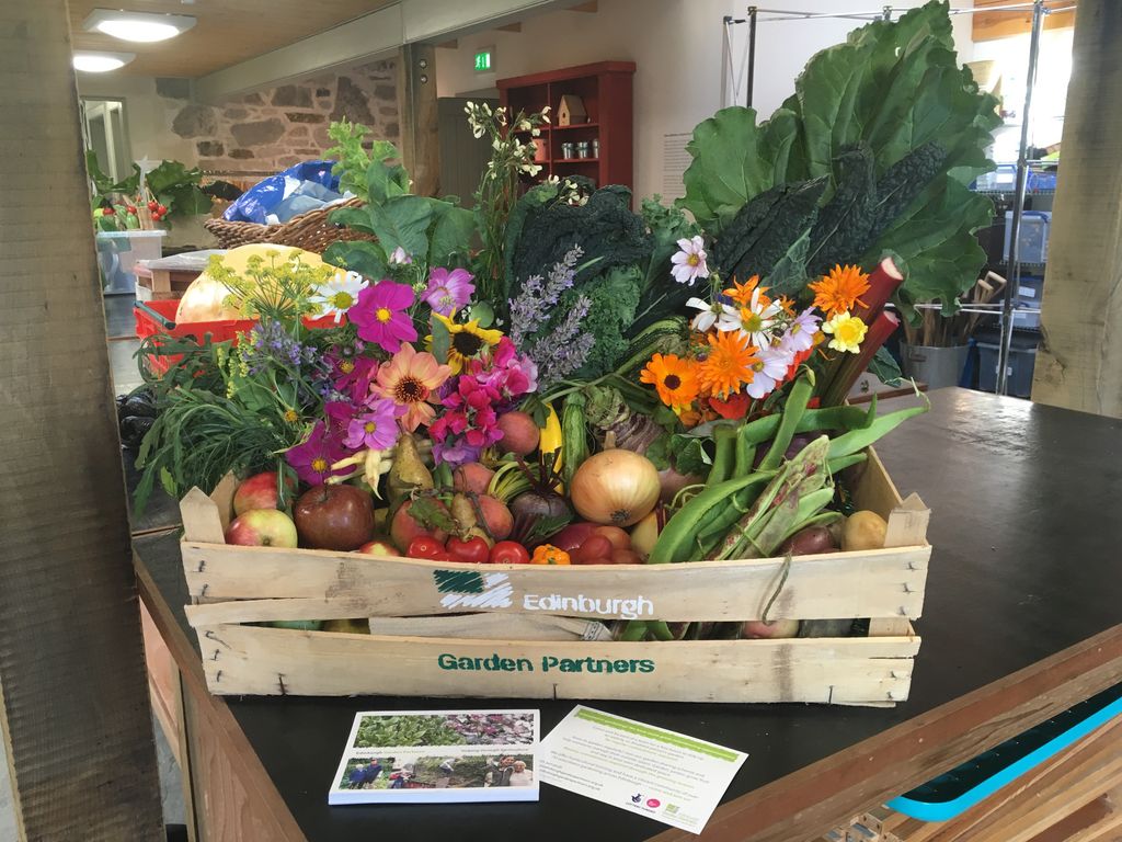 EGPgrapevine's tweet image. Vote for Edinburgh Garden Partners at the RBGE Harvest Festival this weekend! What a stunning panorama! #ManyHandsLightWork #volunteers #befrienders #EatTheRainbow #veginthecity #growyourown