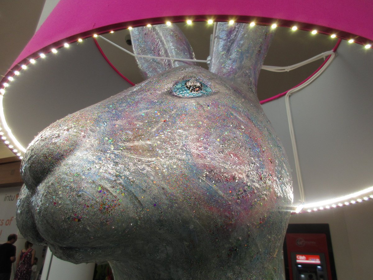 Alex 📷 tweet media