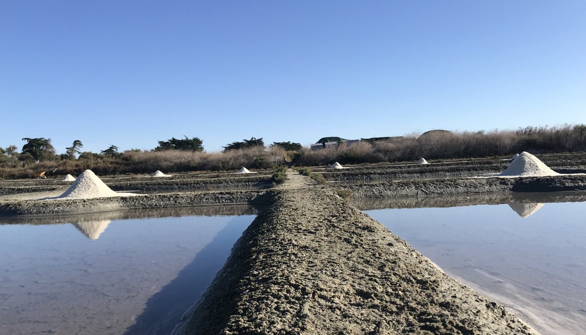 Ile de Ré tweet media