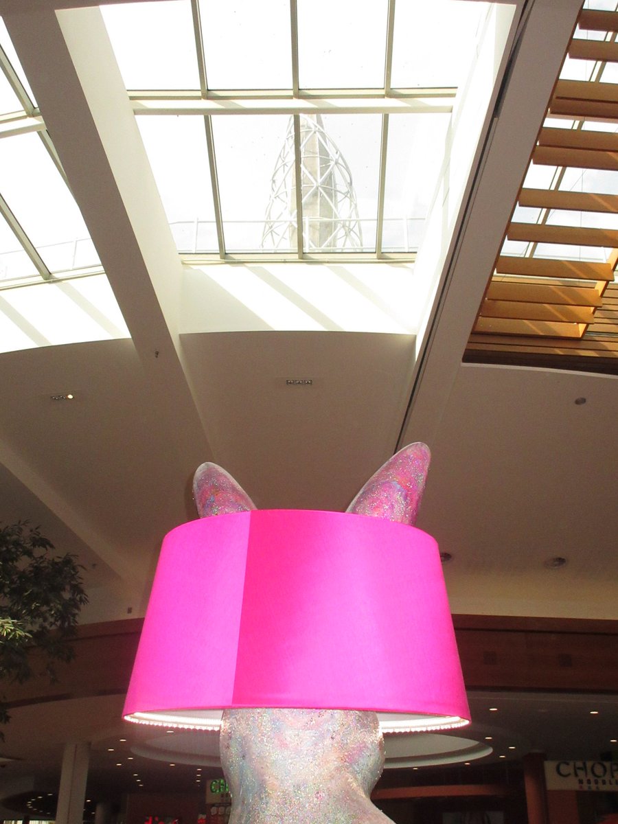 Alex 📷 tweet media