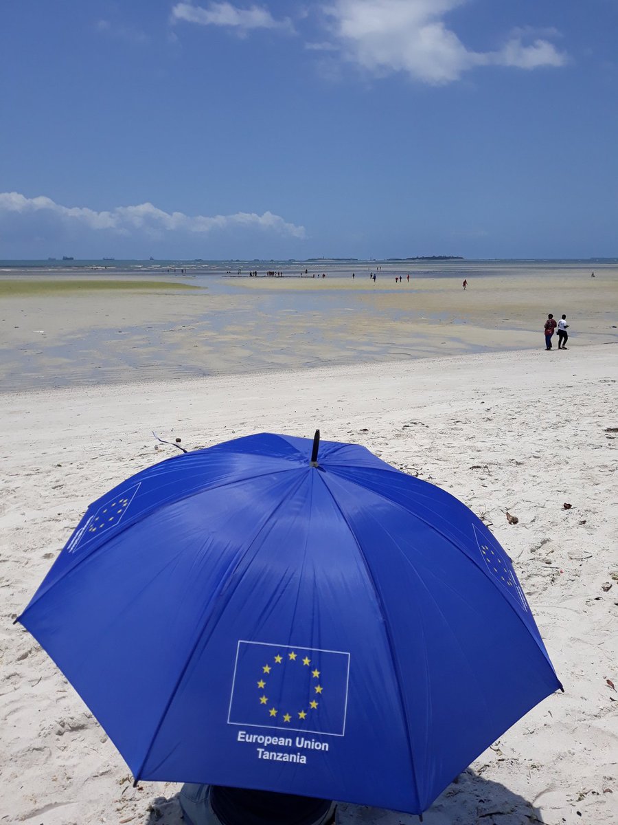 EUinTZ's tweet photo. Umoja wa Ulaya @EUinTZ unamshukuru sana DC wa Ilala, wananchi, wawakilishi wa nchi mbalimbali na washirika wengine kwa kushiriki ktk usafi wa fukwe zetu leo @forumcctz @NipeFagio #EUBeachCleanUpDay #OurOcean #ReadyToChange #United4Climate #PlasticStrategy @europeaid @eu_eeas https://t.co/PIK5j6l6Nb