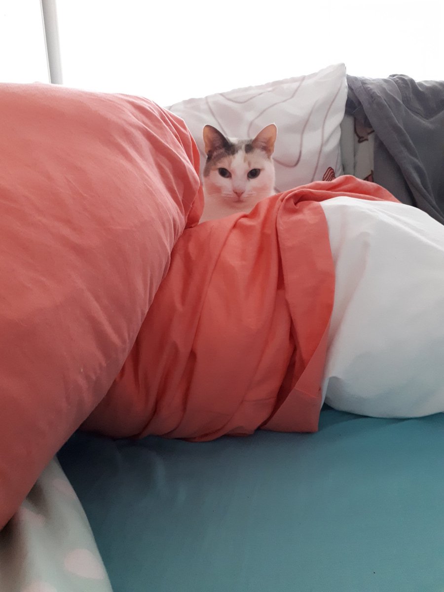 rubyrue (@littlerubyrue) | Twitter