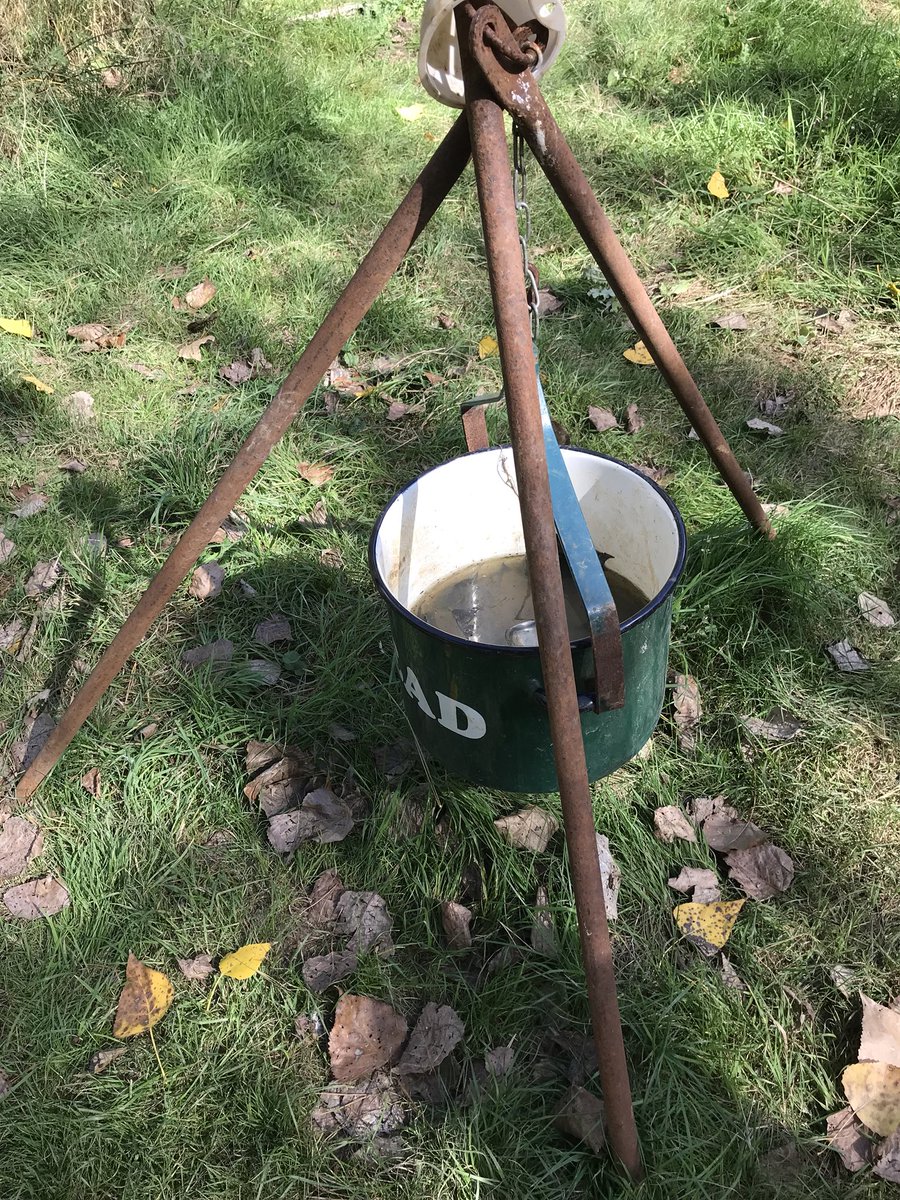 Little Pumpkins tweet media