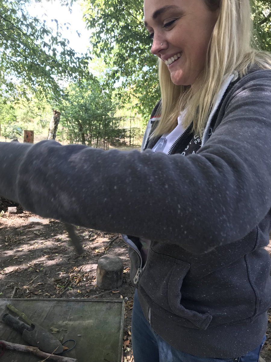 Little Pumpkins tweet media