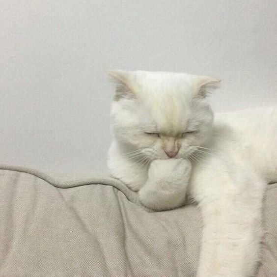 Lalinlin_'s tweet photo. เป็นอะไรคะคนดี ? https://t.co/ZHfWxZQKwI