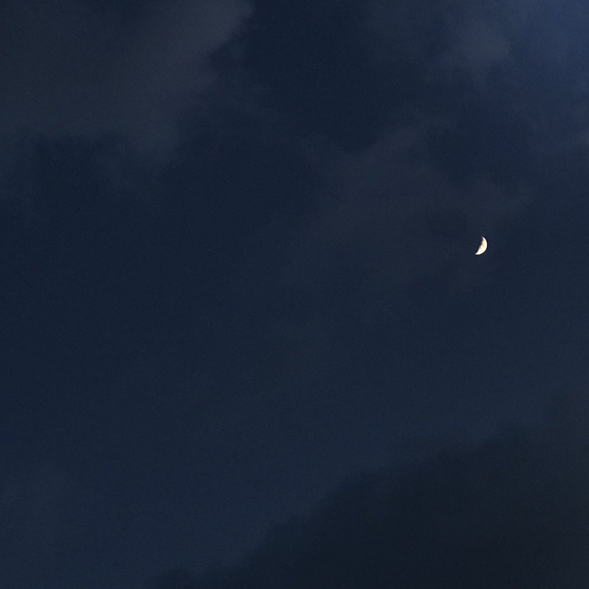 midnight blue tweet media
