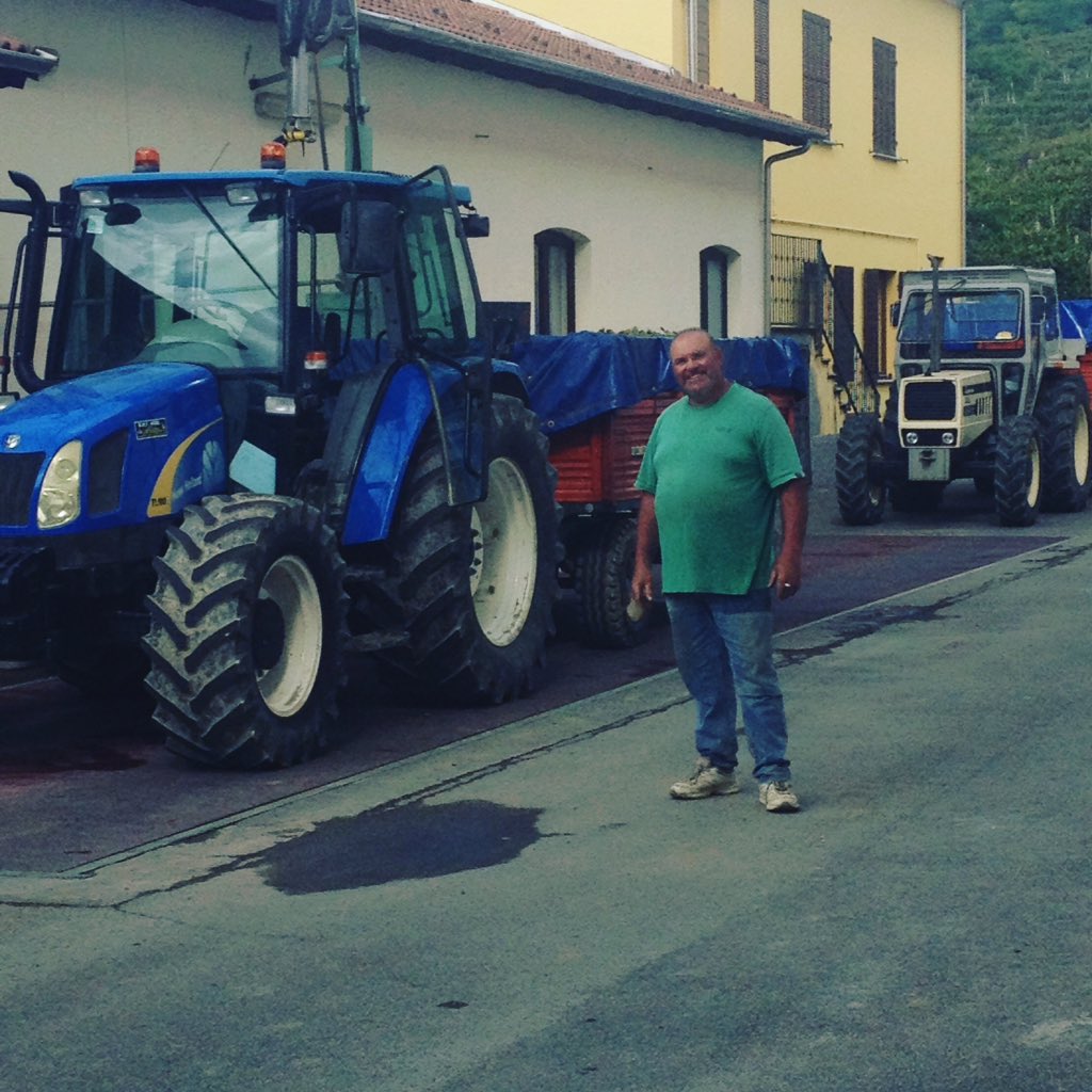 ALICECANTINA's tweet photo. @cantinaalice #vendemmia2018 #moscatod'asti https://t.co/sXfcdZDSfF