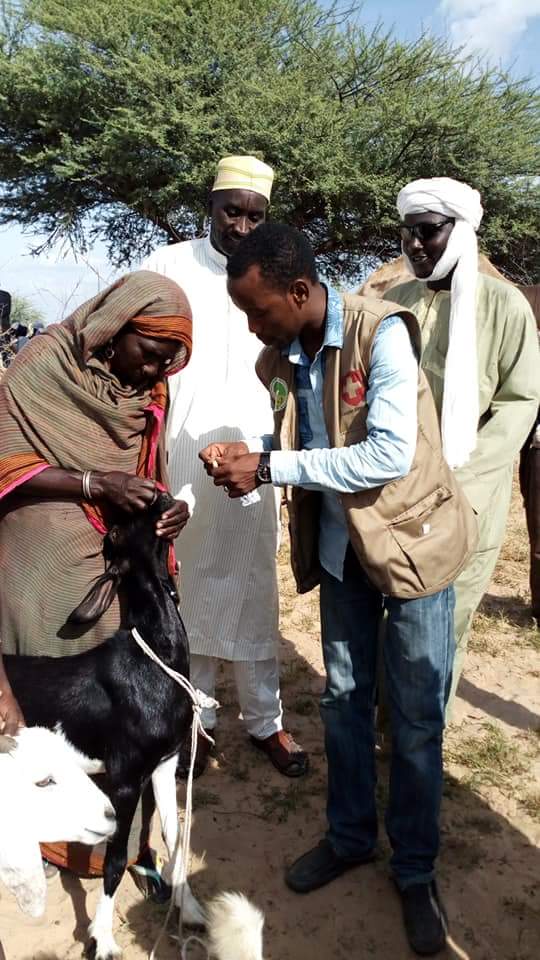 Formation Accélérée Qualifiante(FAQ) au Tchad poursuit  au profit des #Éleveurs Pasteurs membres #APESS dans la Région du #Lac Tchad dont avec une forte participation des #Jeunes et #Femmes.